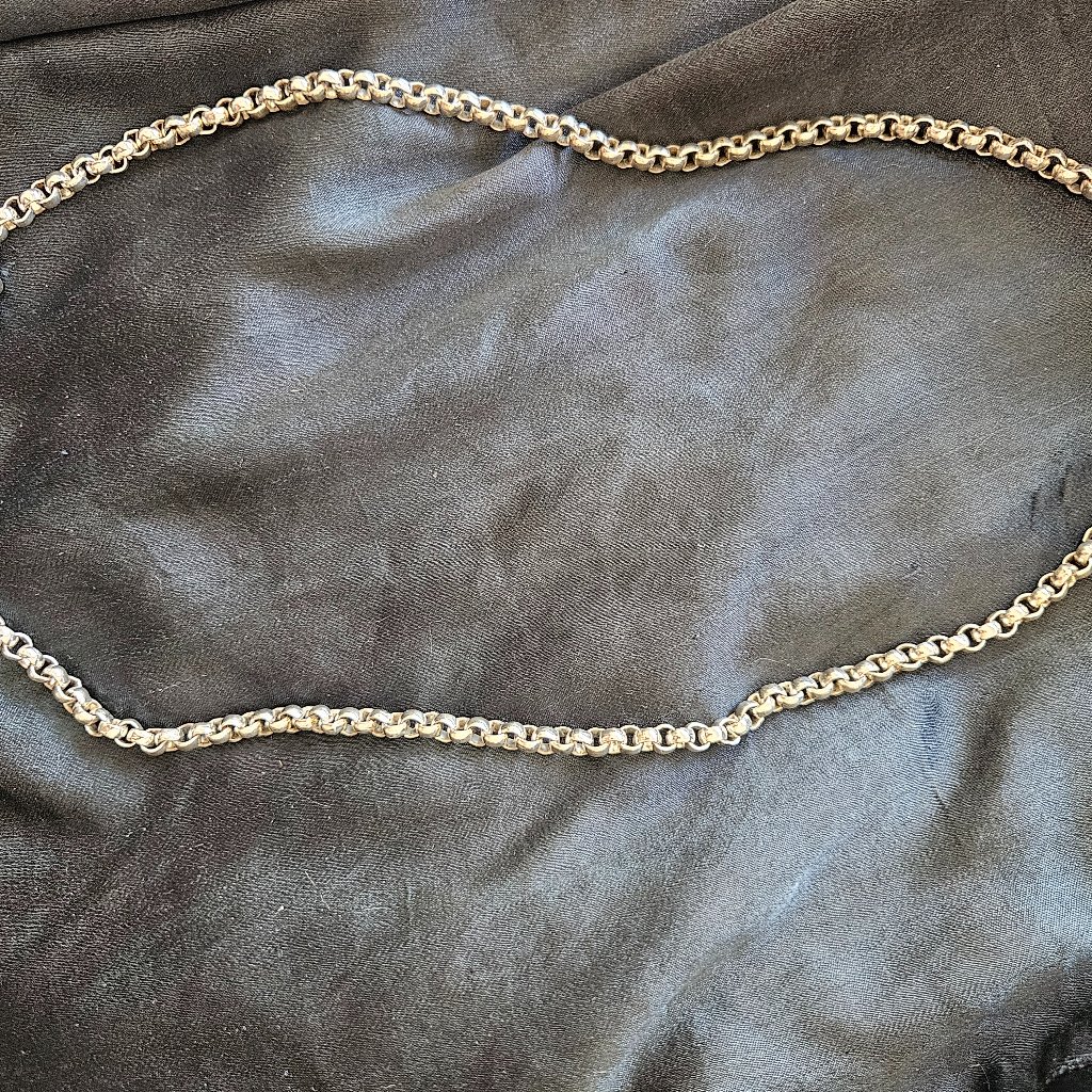 SilverTone Necklace